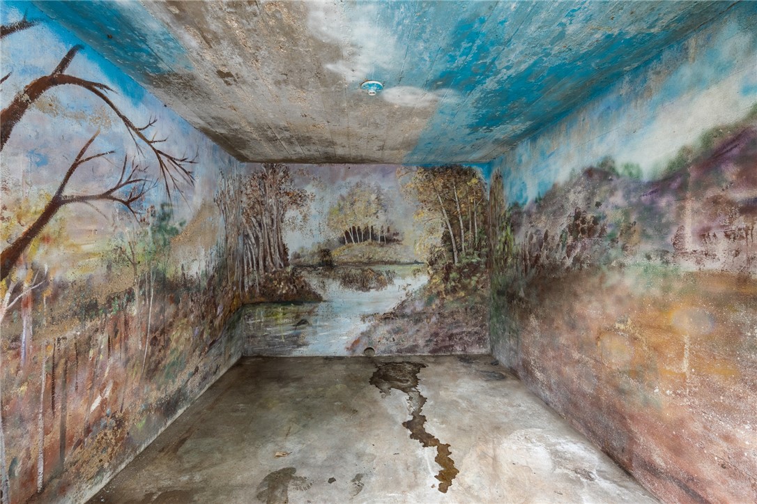Image 24