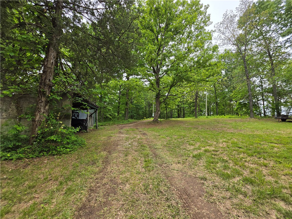 Image 11