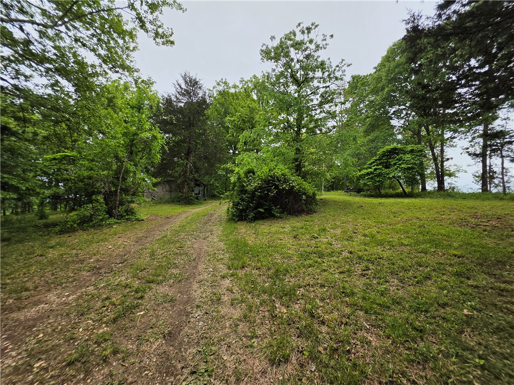 Image 8