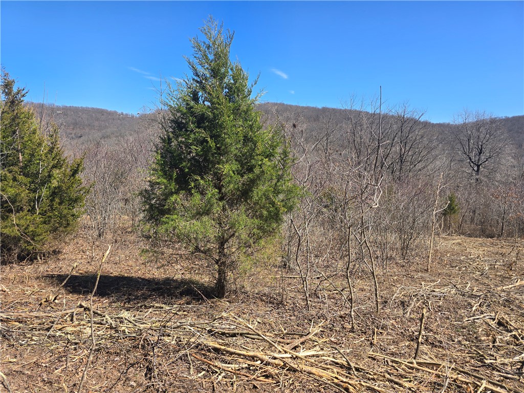 Image 13