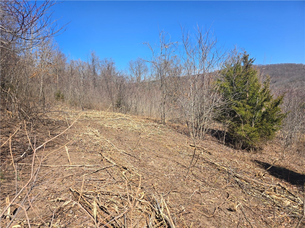 Image 14