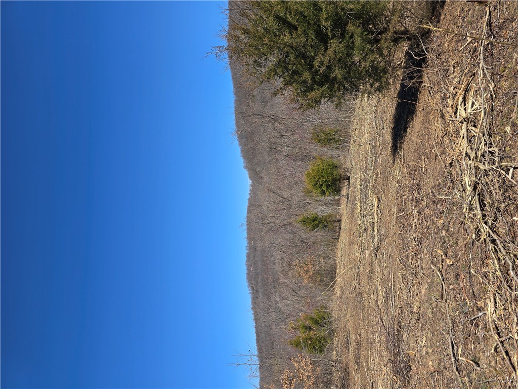 Image 15
