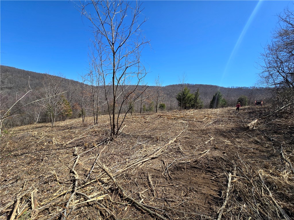 Image 16