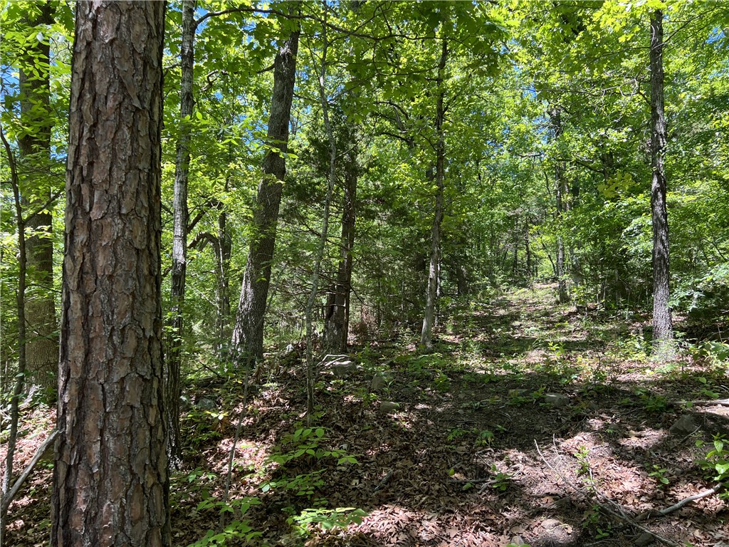 Ozark Haven Realty property-listing-thumbnail