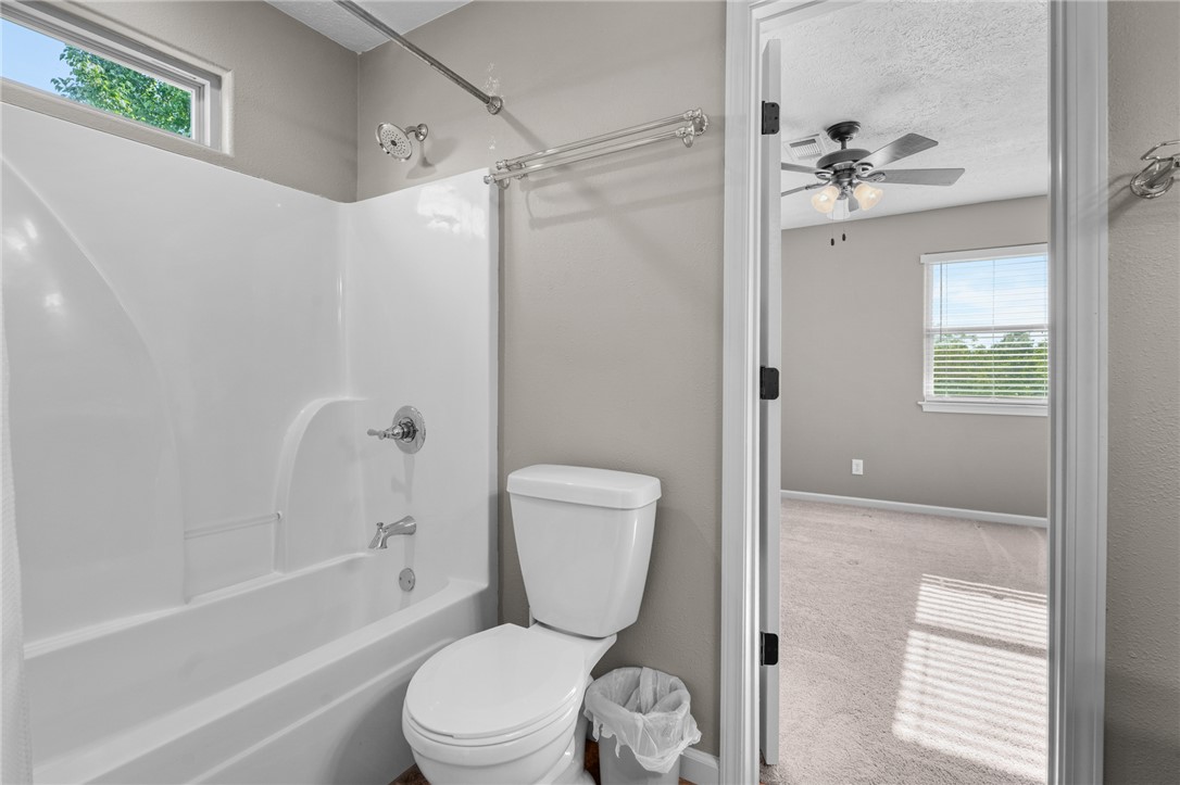 Image 37