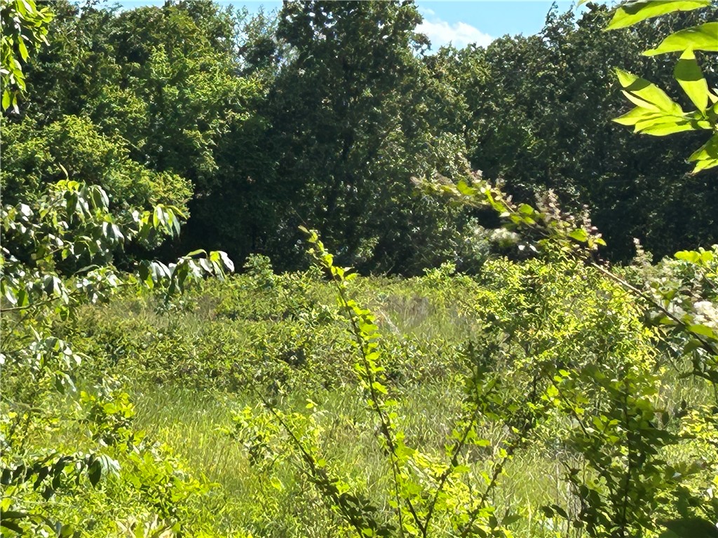 Image 14