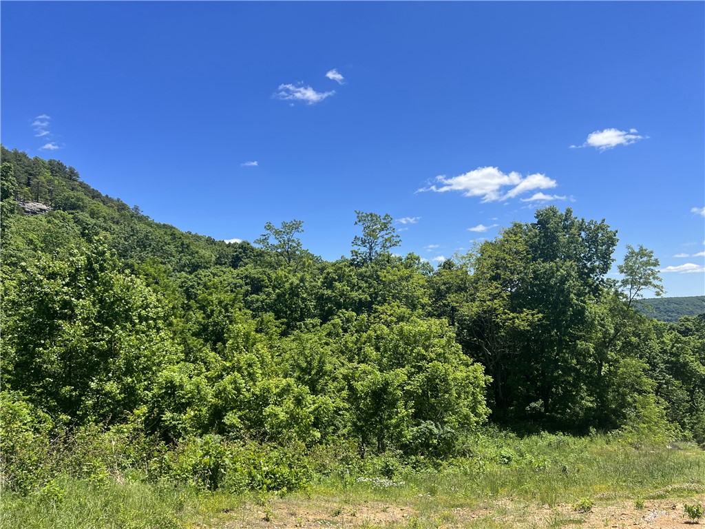 Ozark Haven Realty property-listing-thumbnail