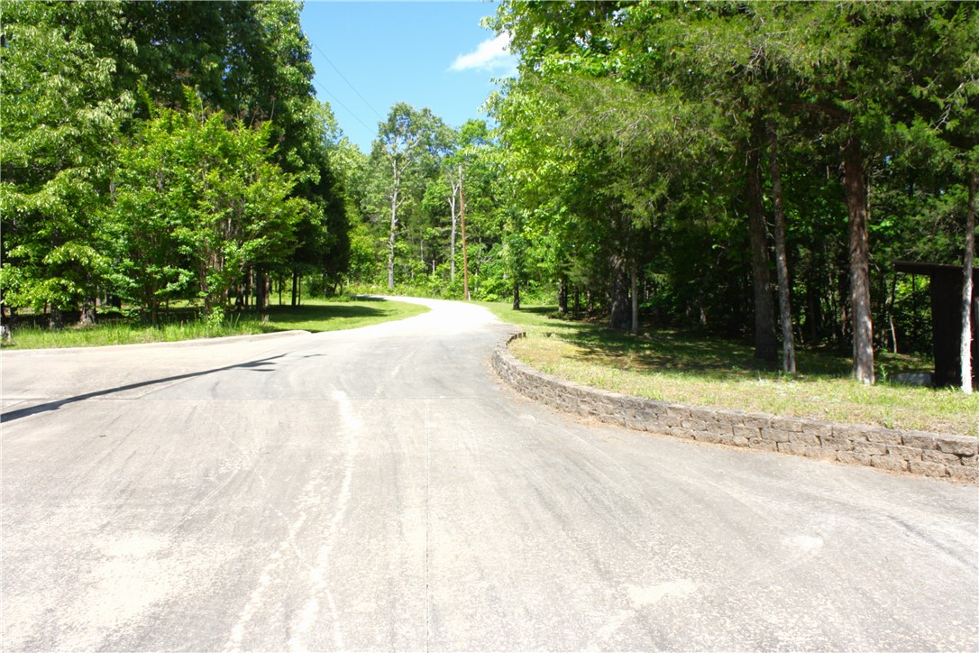 Image 15