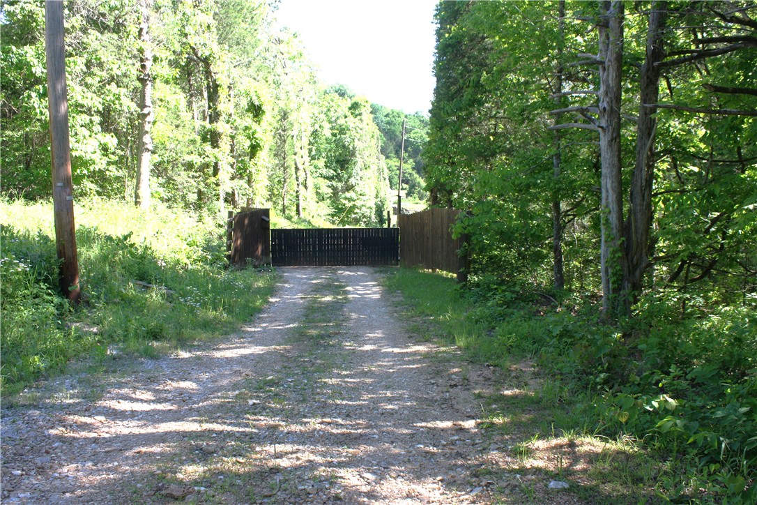 Image 17