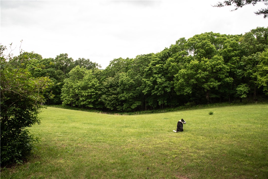 Image 25