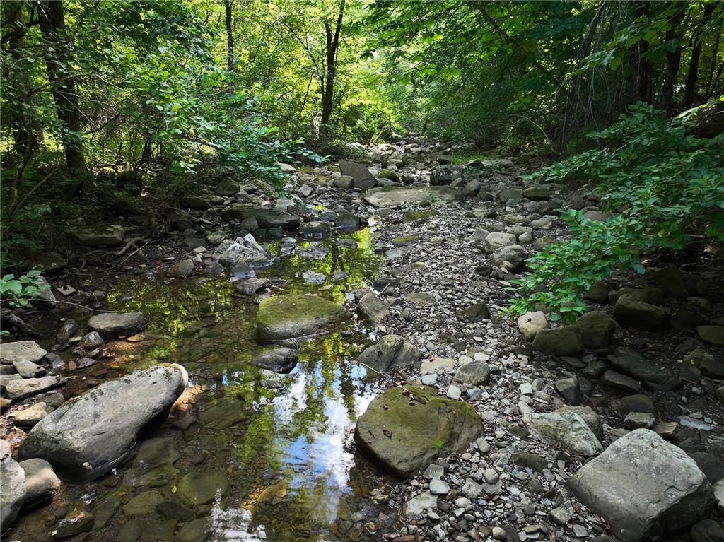 Image 15