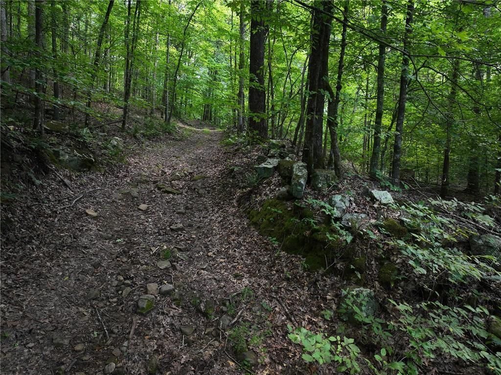 Image 18