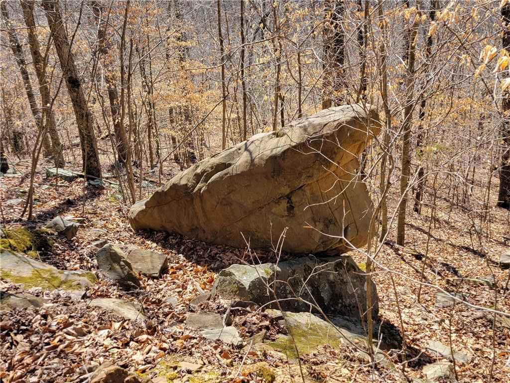 Image 21