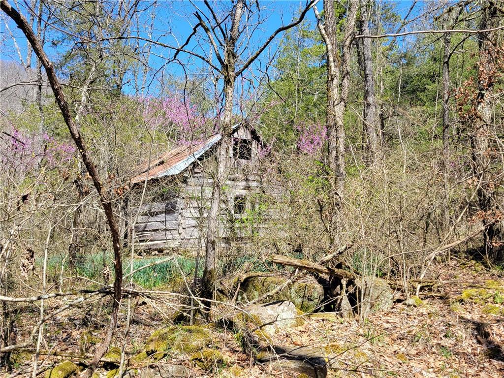 Image 25