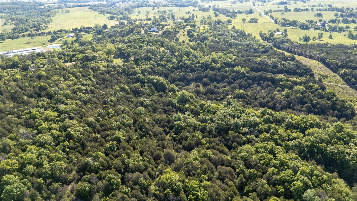 Image 14