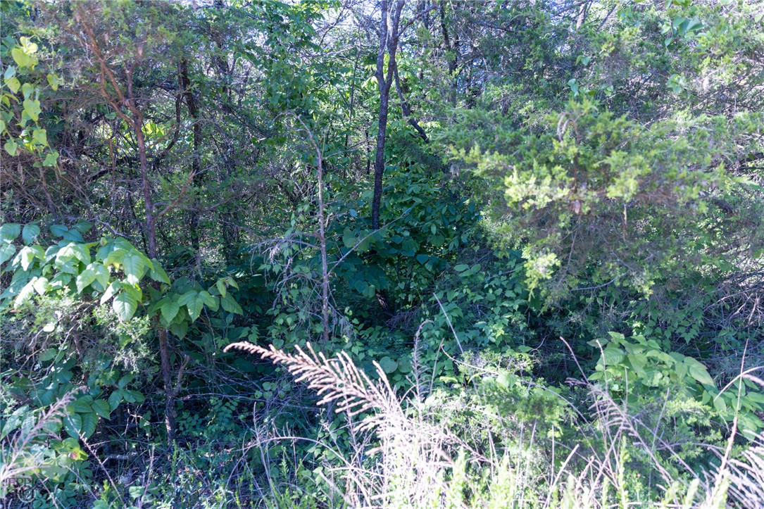 Image 21