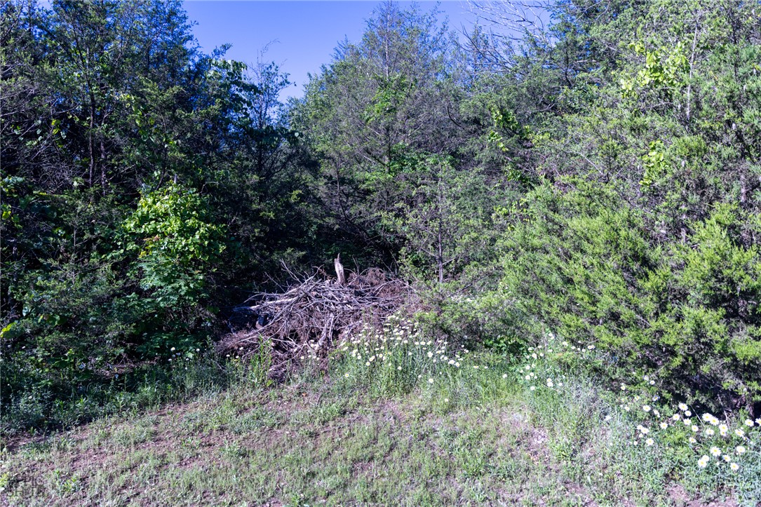 Image 23