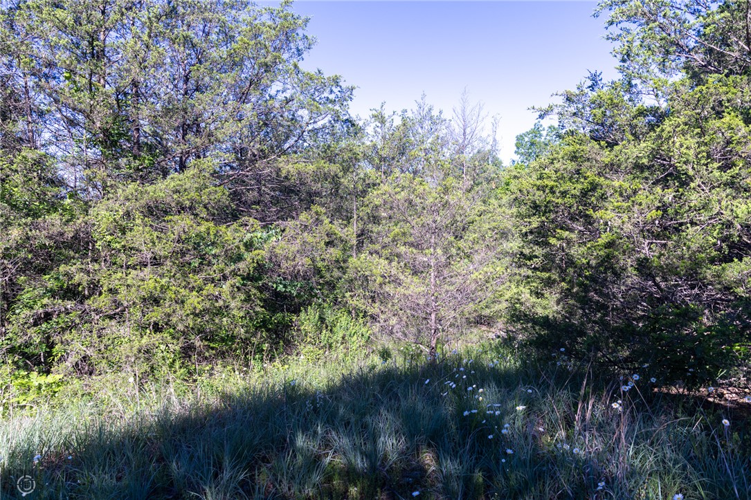 Image 25