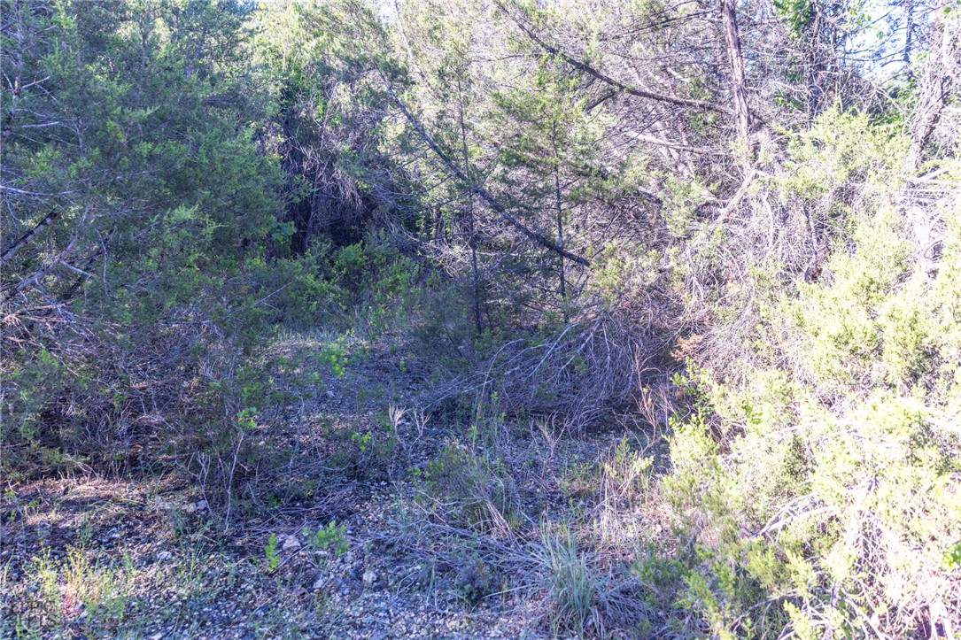 Image 30