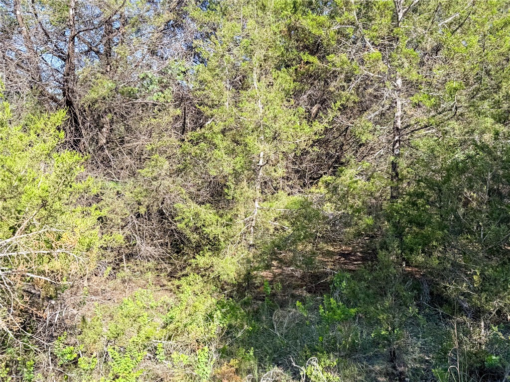 Image 31