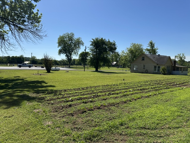 Image 15
