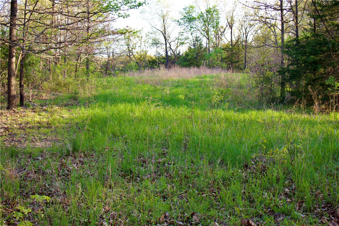 Image 10