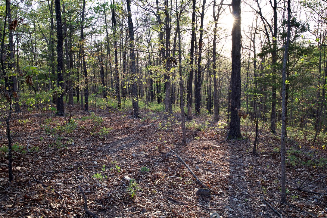 Image 12