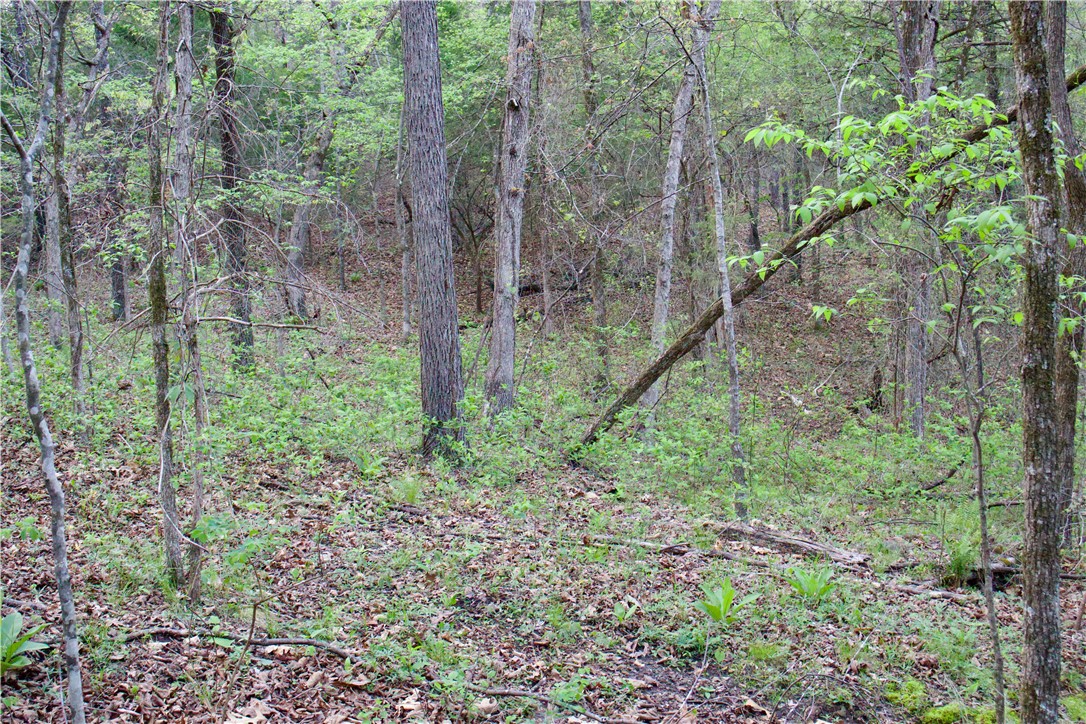 Image 37