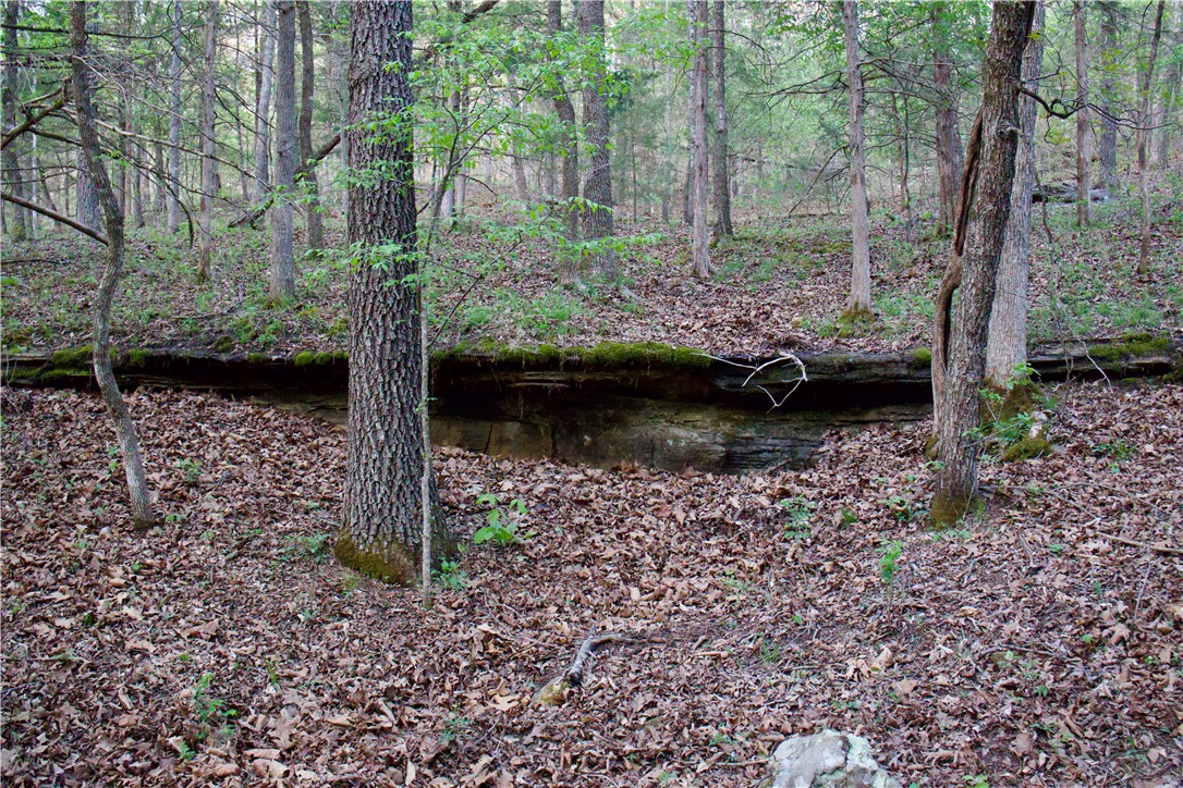 Image 42