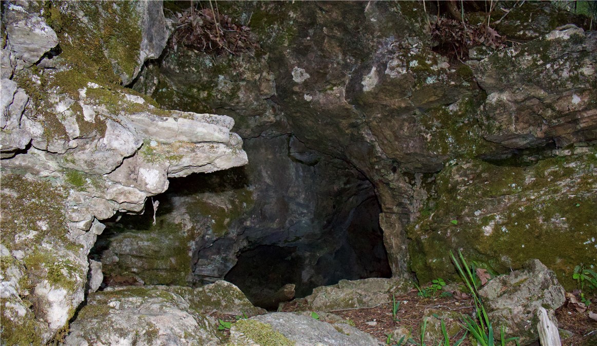 Image 46