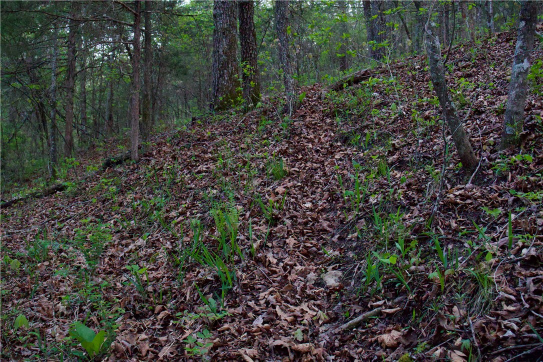 Image 47