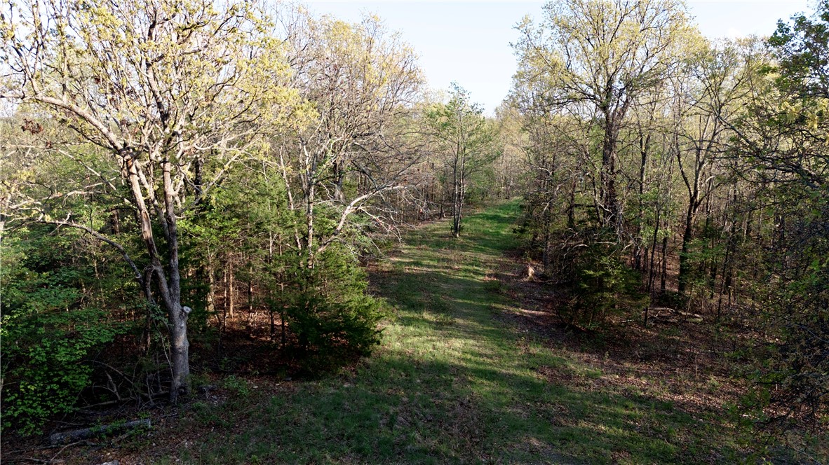 Image 53