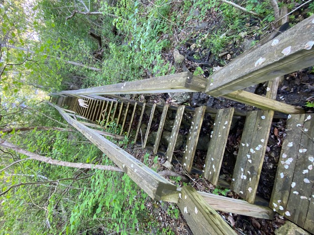 Image 14