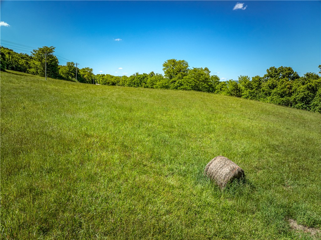 Image 13