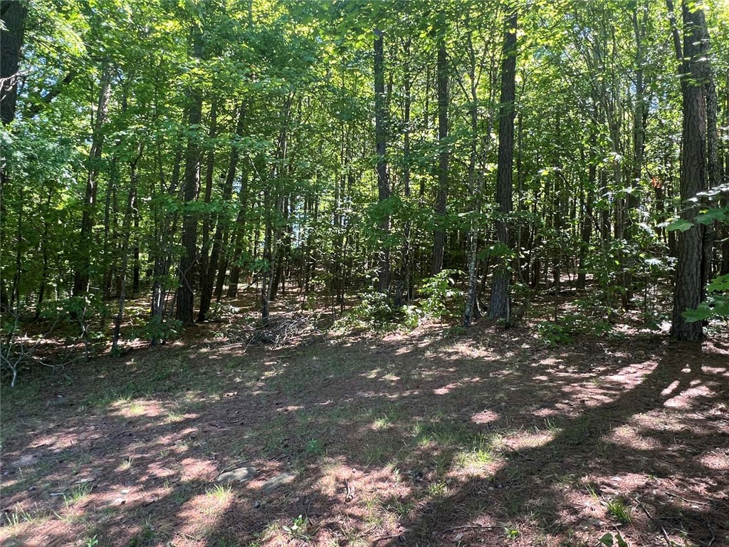 Image 15