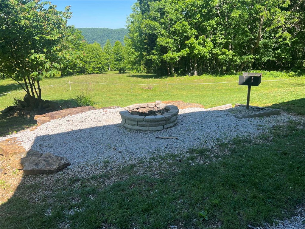 Image 12