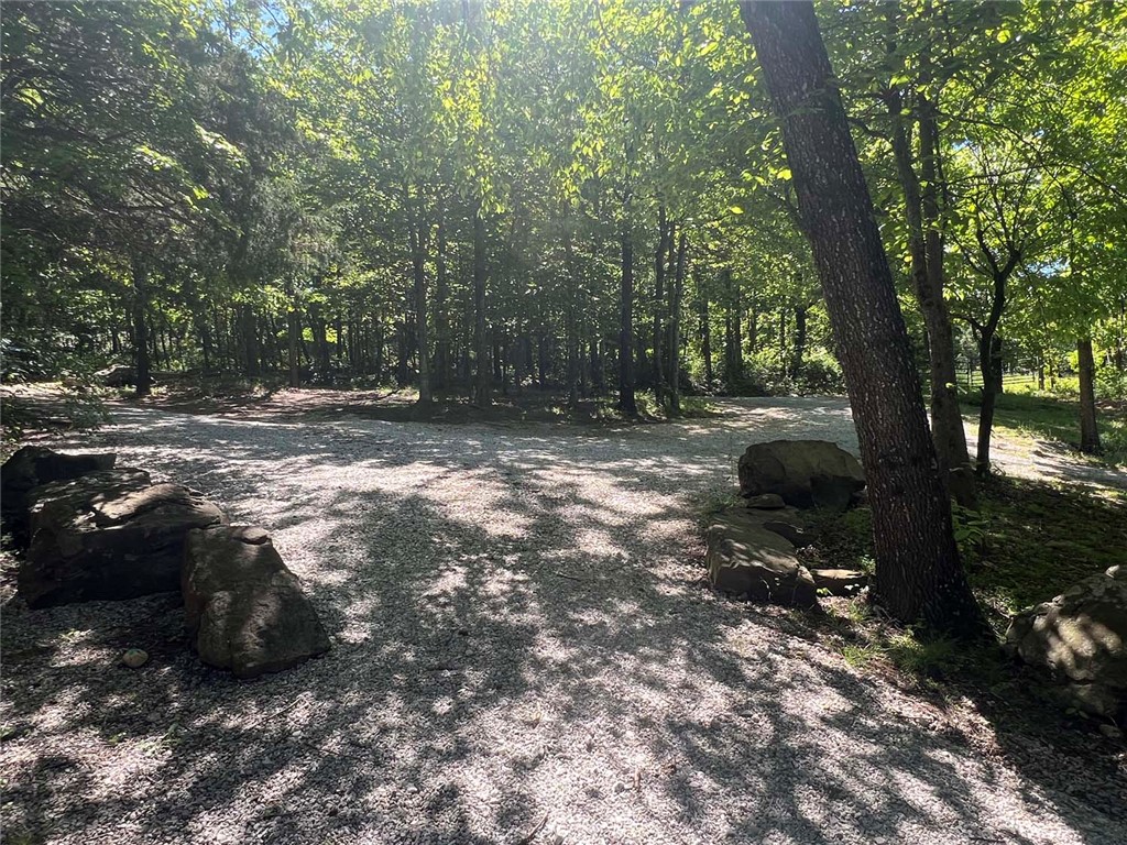 Image 38