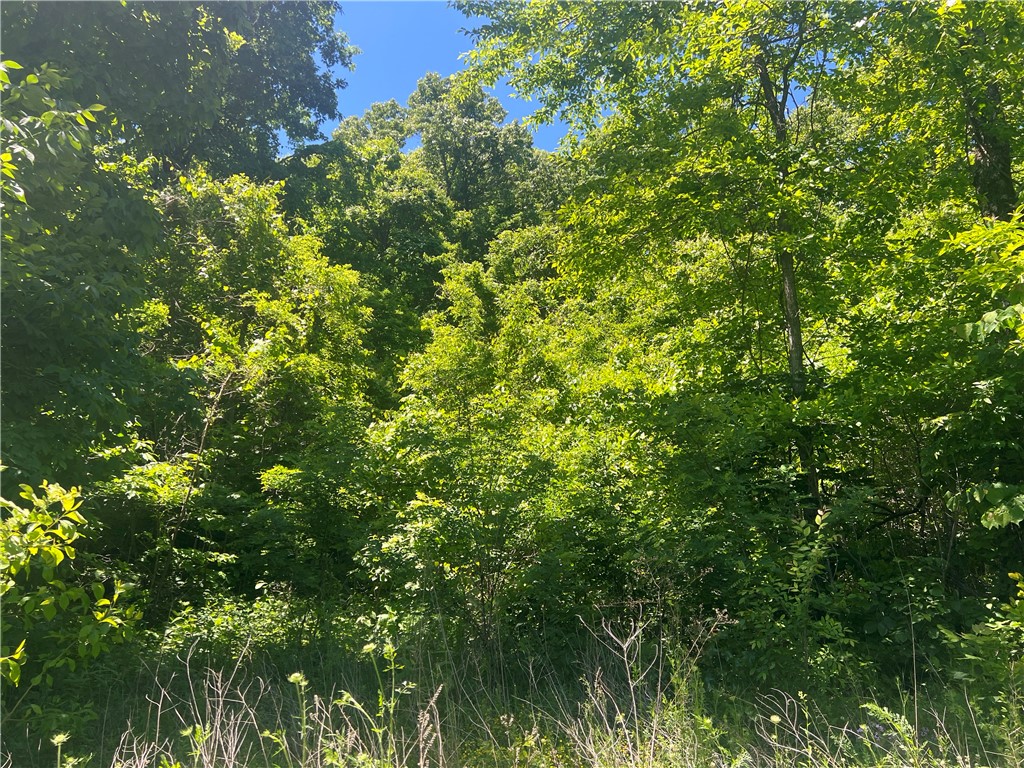 Ozark Haven Realty property-listing-thumbnail