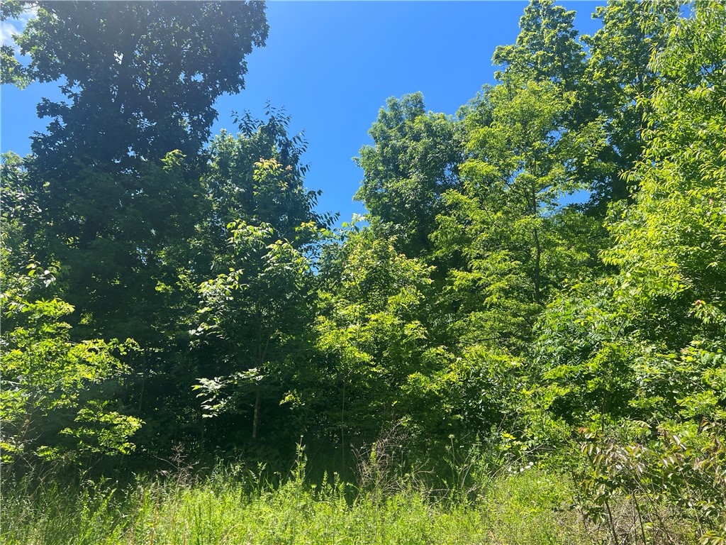 Ozark Haven Realty property-listing-thumbnail