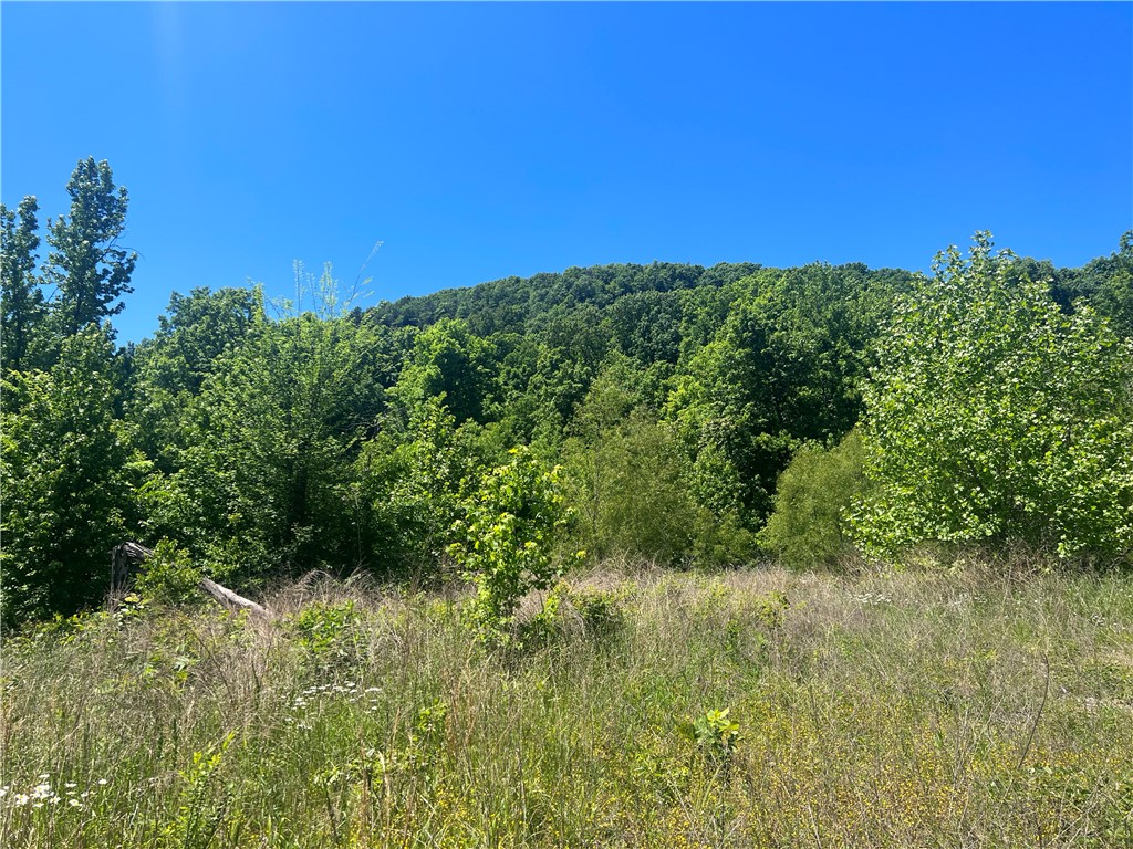 Ozark Haven Realty property-listing-thumbnail