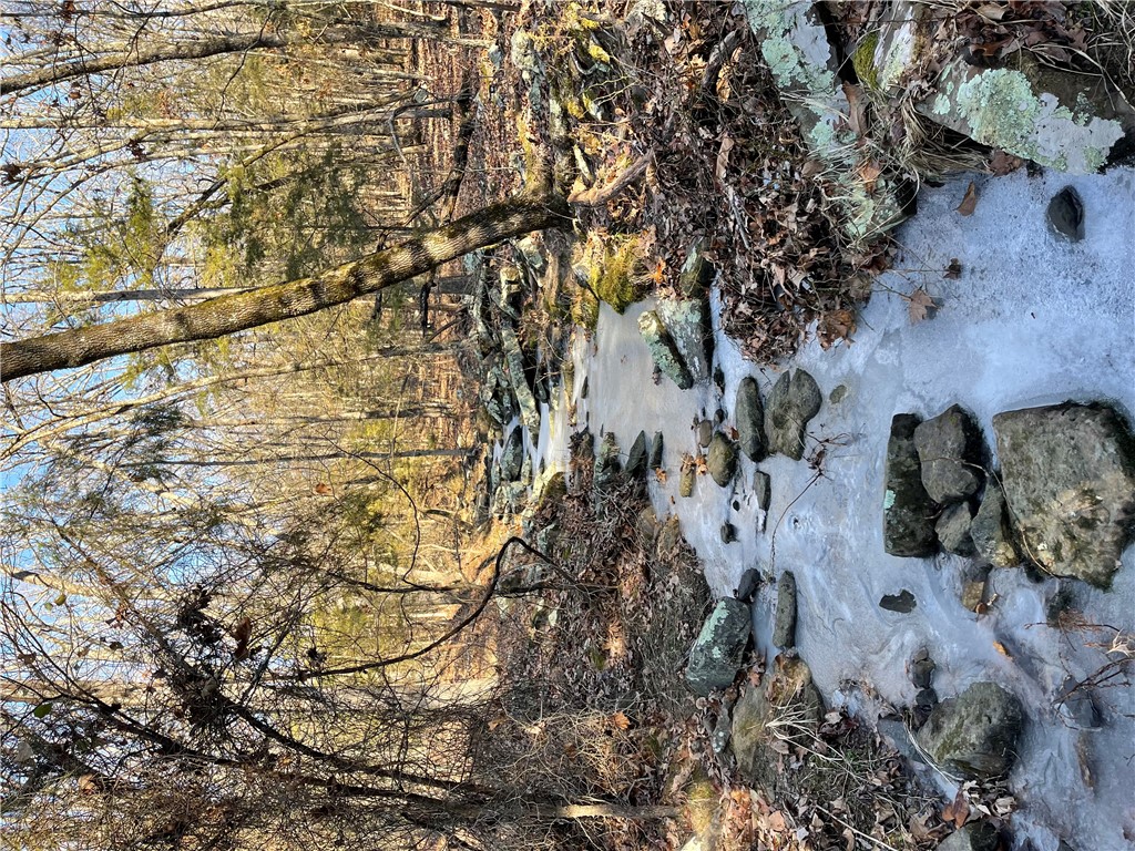 Image 14