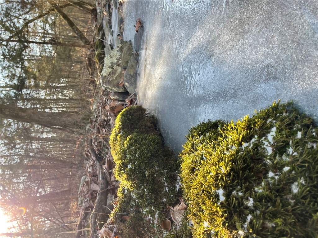 Image 15