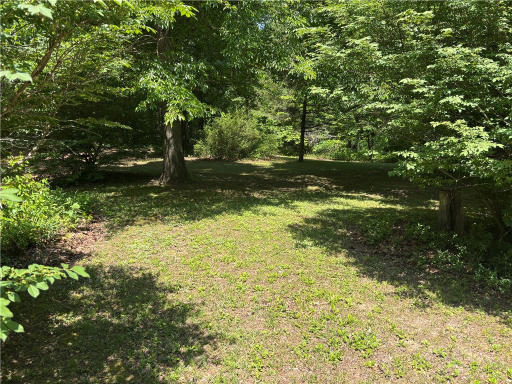 Image 14