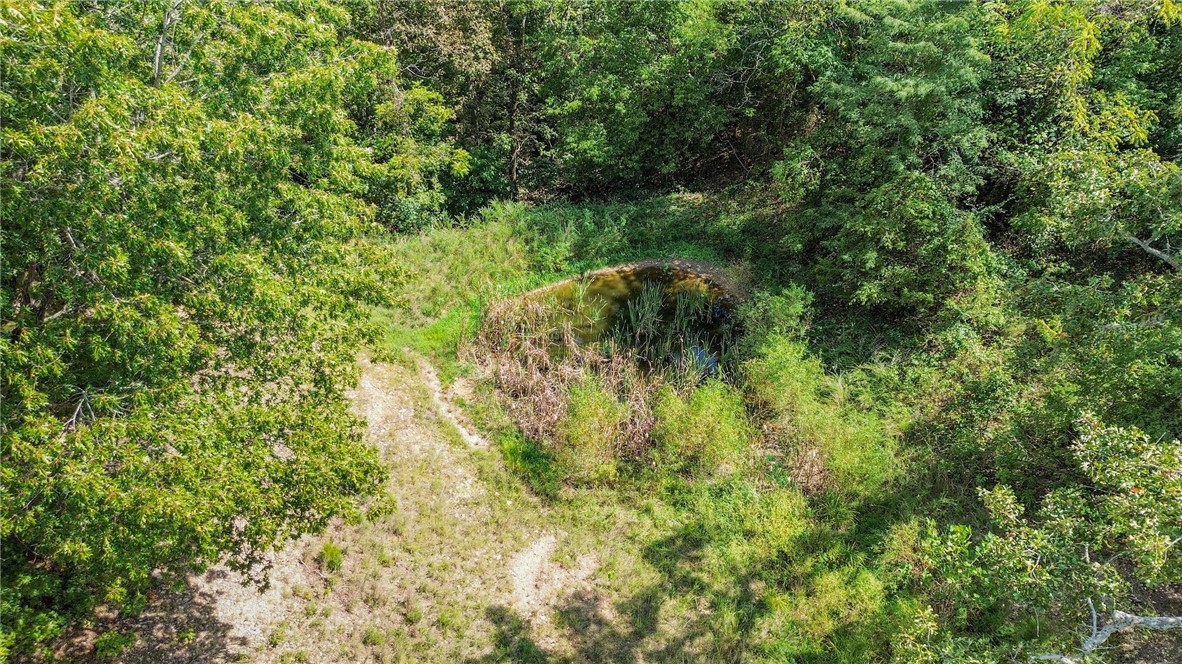 Image 17