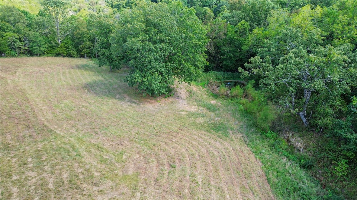 Image 20