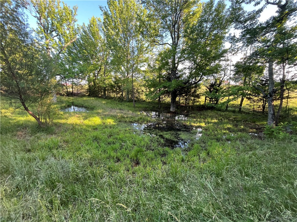Image 15