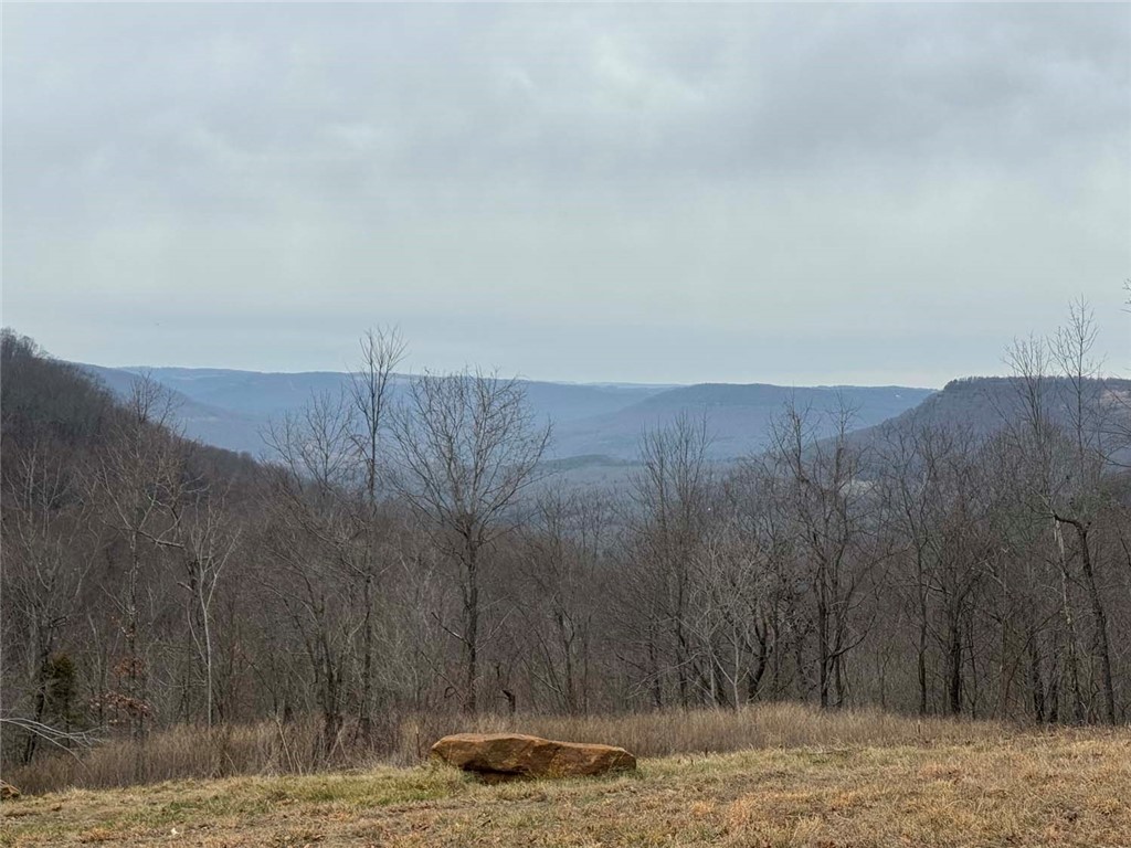 Image 12
