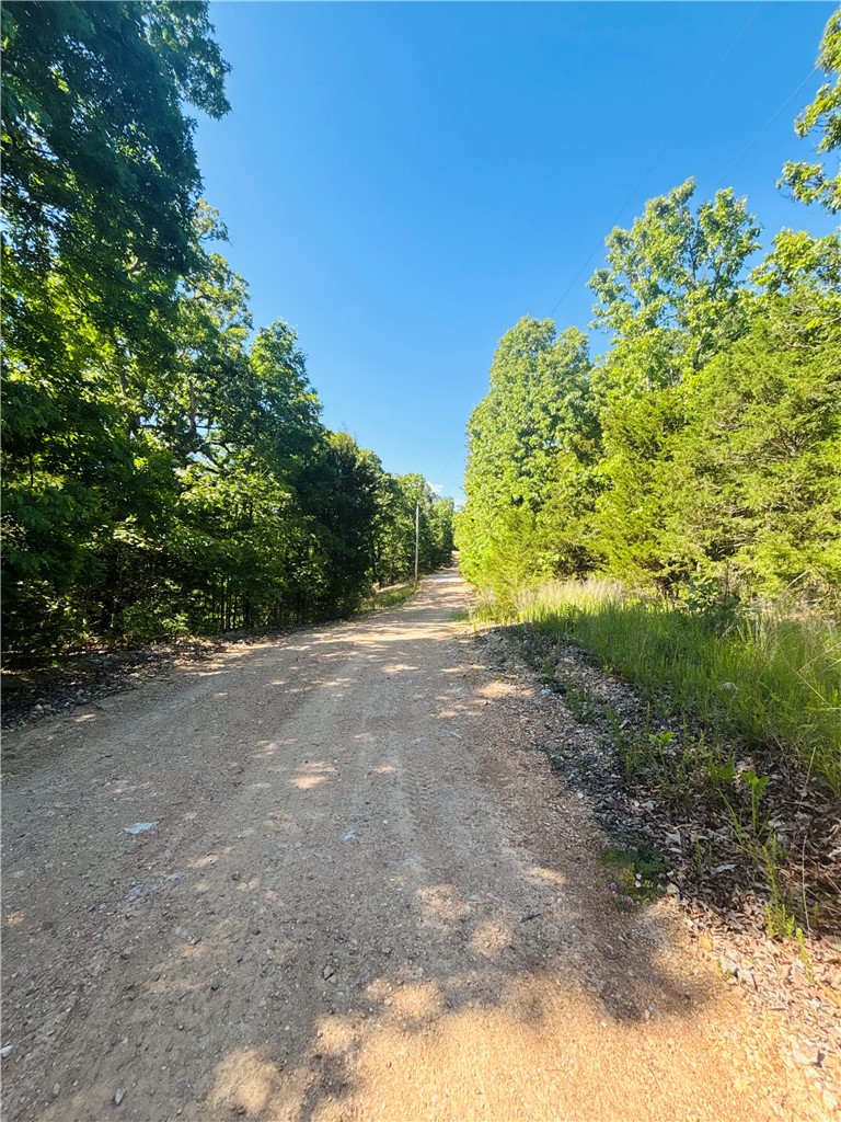Image 8