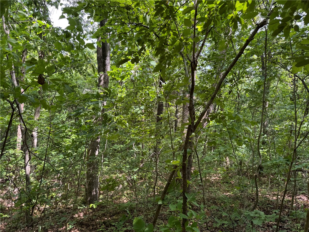 Image 10