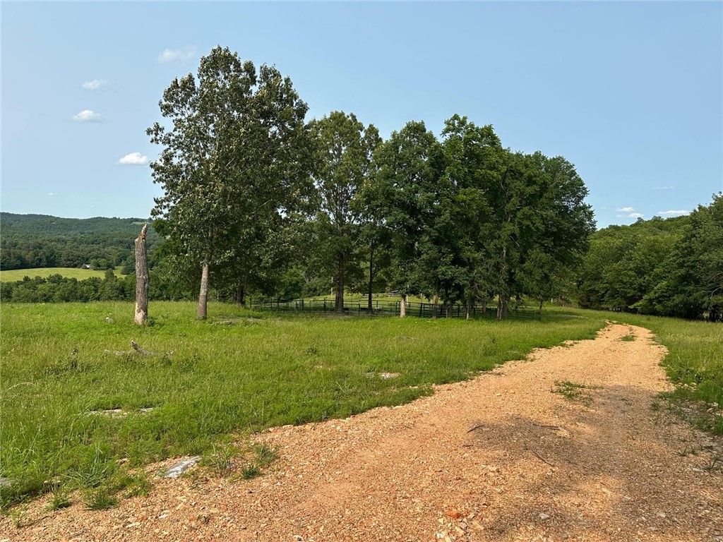 Image 12